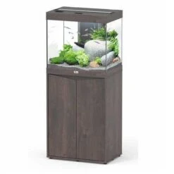 Aquatlantis Aquarium Splendid 60 Biobox Donkerbruin