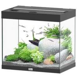 Aquatlantis Aquarium Splendid 60 Cleansys Pro Zwart