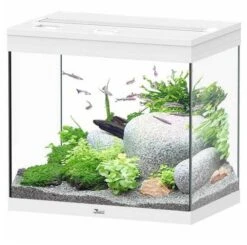 Aquatlantis Aquarium Splendid 60 Cleansys Pro Wit
