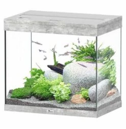 Aquatlantis Aquarium Splendid 60 Cleansys Pro Beton