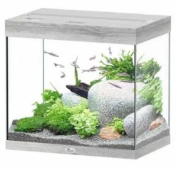 Aquatlantis Aquarium Splendid 60 Cleansys Pro Whitewash