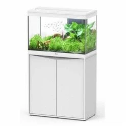 Aquatlantis Aquarium Splendid 80 Biobox Wit