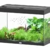 Aquatlantis Aquarium Splendid 80 Cleansys Pro Zwart