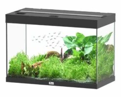 Aquatlantis Aquarium Splendid 80 Cleansys Pro Zwart