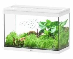 Aquatlantis Aquarium Splendid 80 Cleansys Pro Wit