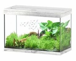Aquatlantis Aquarium Splendid 80 Cleansys Pro Whitewash