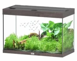 Aquatlantis Aquarium Splendid 80 Cleansys Pro Donkerbruin