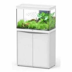 Aquatlantis Meubel Splendid 80 Wit