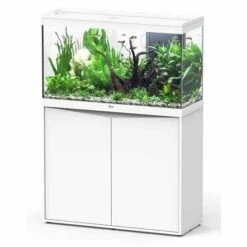 Aquatlantis Meubel Splendid 100 Wit