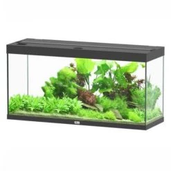Aquatlantis Aquarium Splendid 120 Cleansys Pro Zwart