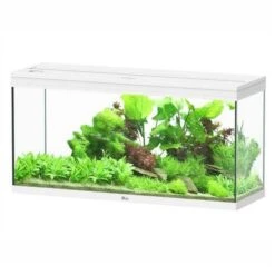 Aquatlantis Aquarium Splendid 120 Cleansys Pro Wit