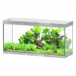 Aquatlantis Aquarium Splendid 120 Cleansys Pro Beton