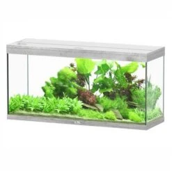 Aquatlantis Aquarium Splendid 120 Cleansys Pro Whitewash