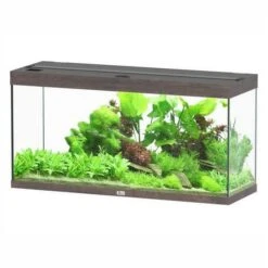 Aquatlantis Aquarium Splendid 120 Cleansys Pro Donkerbruin