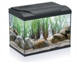HS Aqua Aquarium Coldy 20 LED Zwart