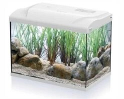 HS Aqua Aquarium Coldy 20 LED Wit