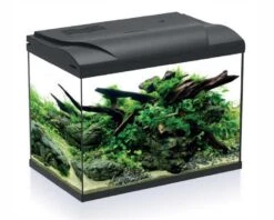 HS Aqua Aquarium Platy 50 LED Zwart