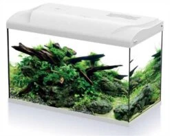 HS Aqua Aquarium Platy 70 LED Wit