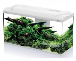 HS Aqua Aquarium Platy Bio 110 LED Wit