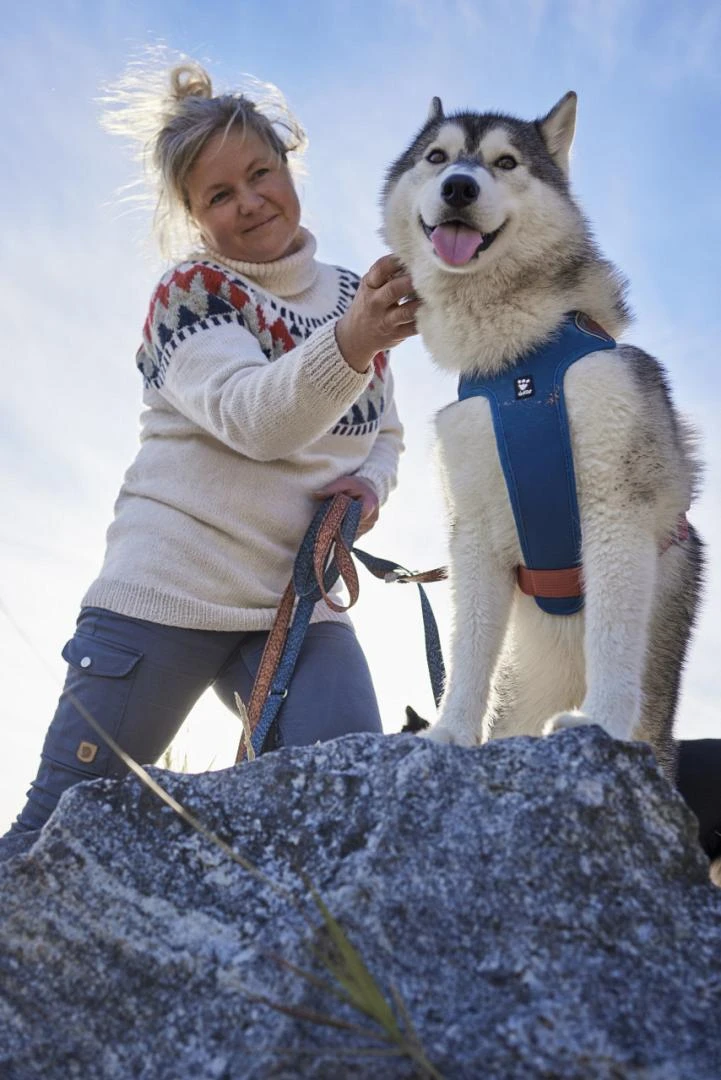 Hurtta Harnas Weekend Warrior Warming Eco Bilberry Mix - Image 3