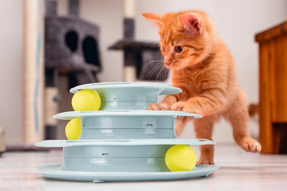 Beeztees Kitten Speeltoren Bo Mint - Image 3