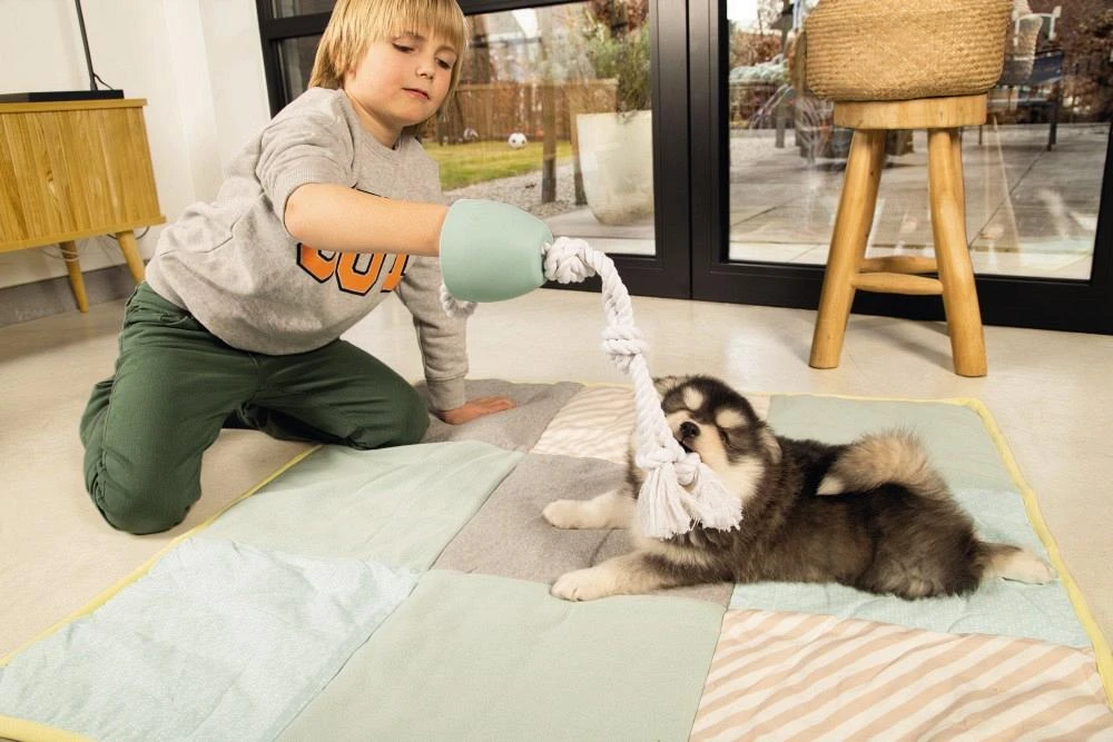 Beeztees Puppy Flostouw Pullina Groen - Image 4