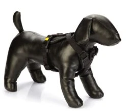 Beeztees Premium Y-Tuig Parinca Zwart