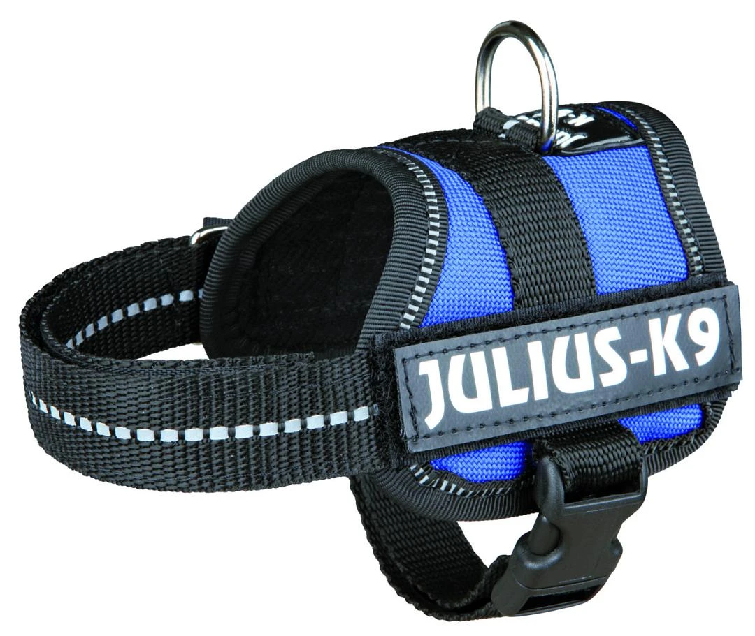 Julius K9 Powerharness Blue