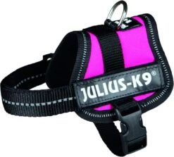 Julius K9 Powerharness Fuchsia