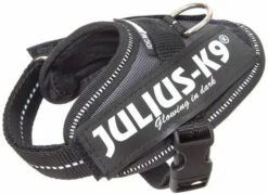 Julius K9 IDC Powerharness Antraciet