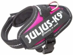 Julius K9 IDC Powerharness Dark Pink