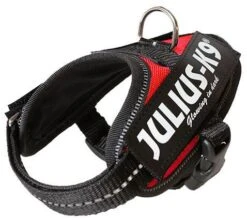 Julius K9 IDC Powerharness Red