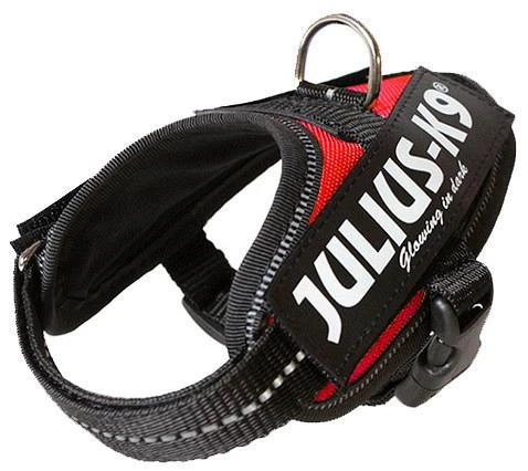 Julius K9 IDC Powerharness Red