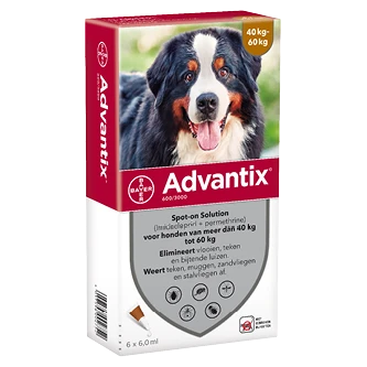 Advantix 600 6 Pipetten