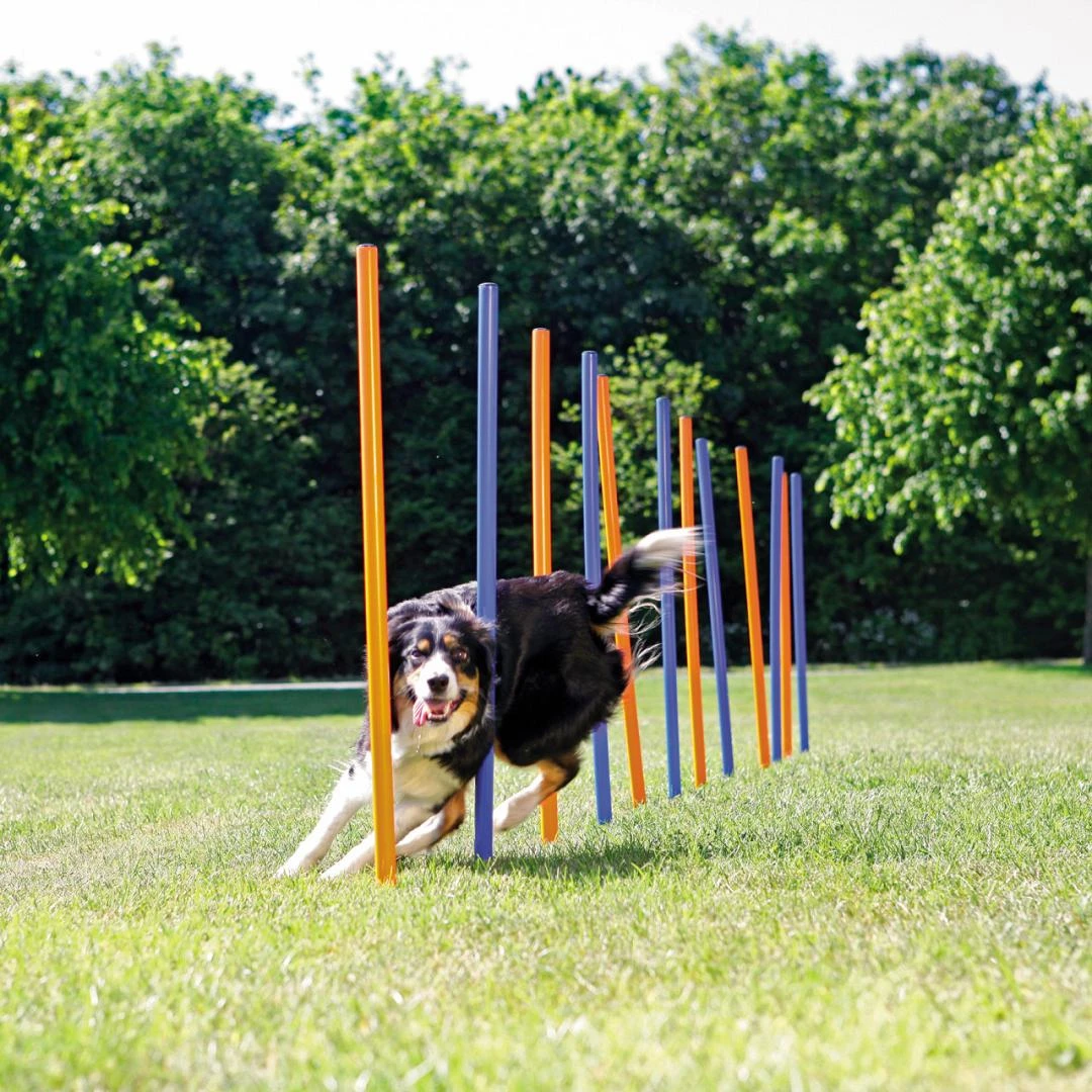 TRIXIE Dog Activity Agility Slalom - Image 2