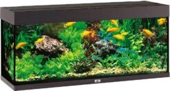 Juwel Aquarium Rio 240 LED Zwart
