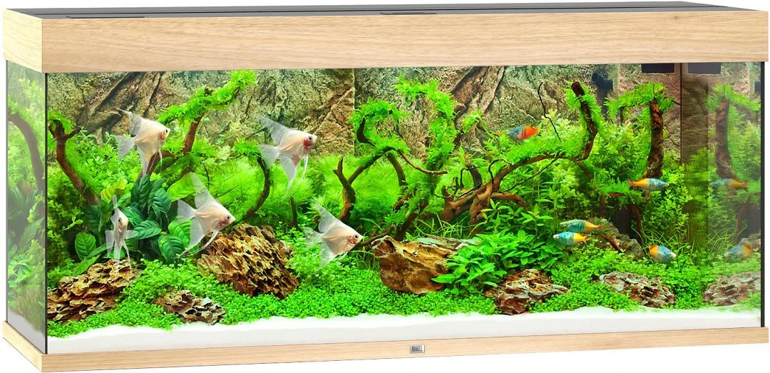Juwel Aquarium Rio 240 LED Licht Eiken