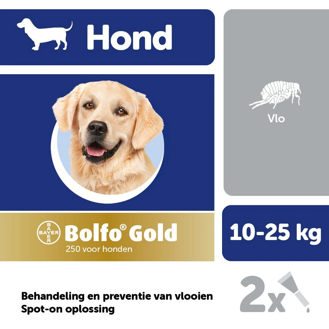 Bolfo Gold 250 Hond 2 Pipetten - Image 2