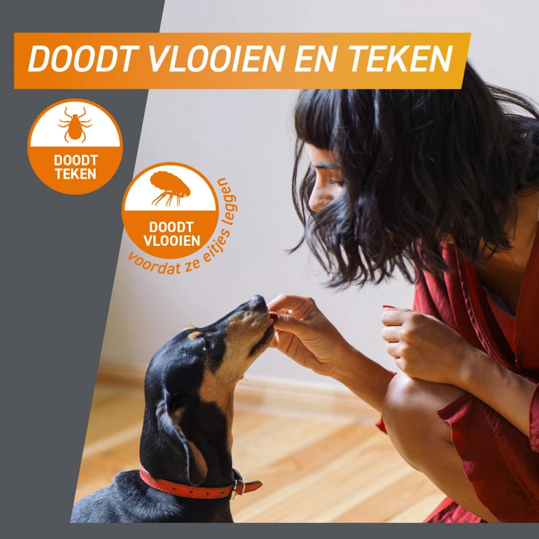 FRONTPRO Kauwtabletten Hond L 3 St - Image 2