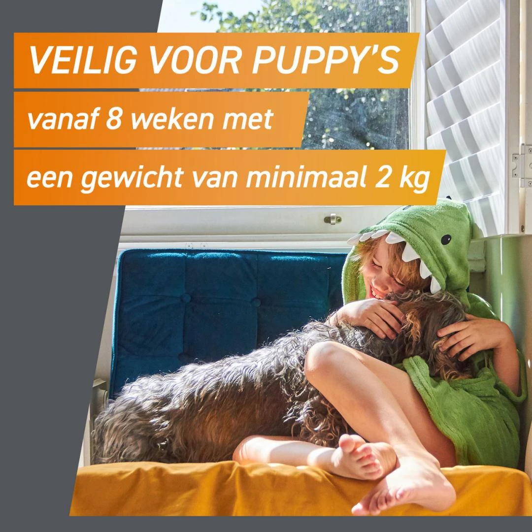 FRONTPRO Kauwtabletten Hond L 3 St - Image 3