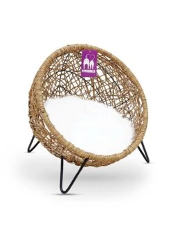 Petrebels Kattenmand House Of Heaven Amsterdam 47 Sand