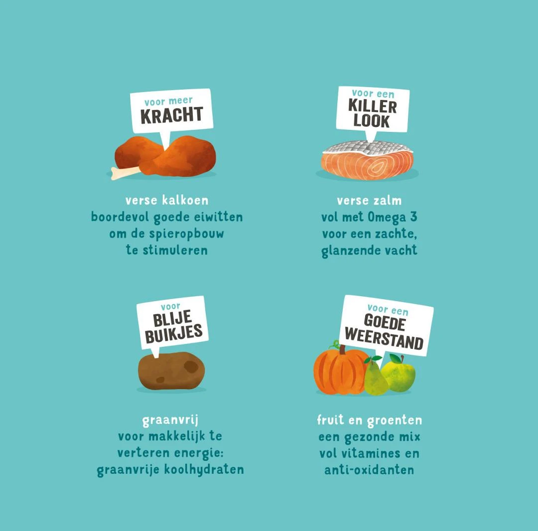 Edgard & Cooper Hondenvoer Puppy Zalm En Kalkoen 12 Kg - Image 2