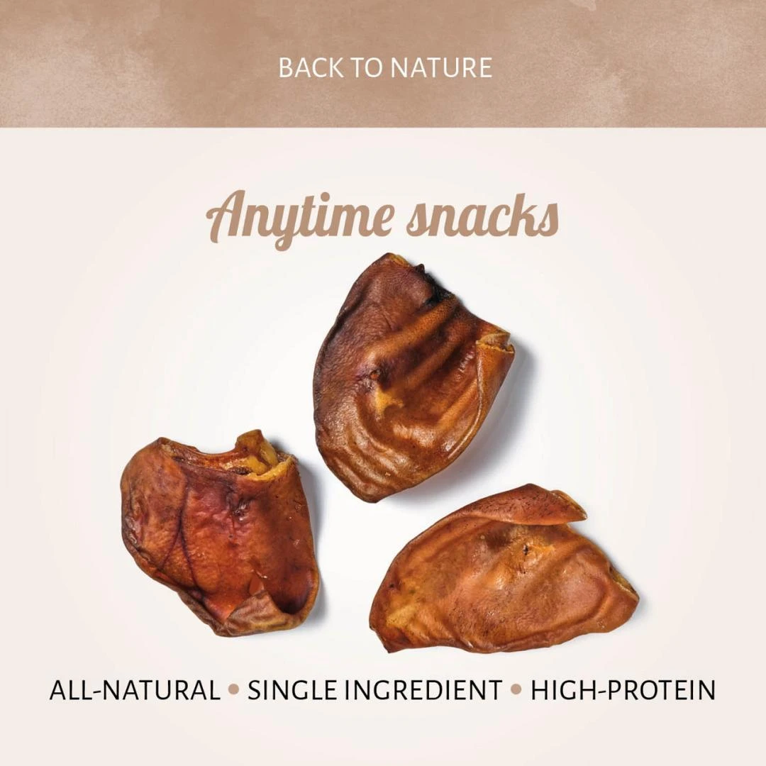 Antos Varkensoren 10 St - Image 2