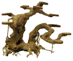 SuperFish Bonsai Planter M