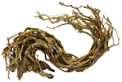 SuperFish Bonsai Wave L