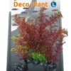 SuperFish Deco Plant Cabomba Red L