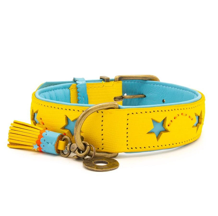 Dog With A Mission Halsband Blue Star - Image 6