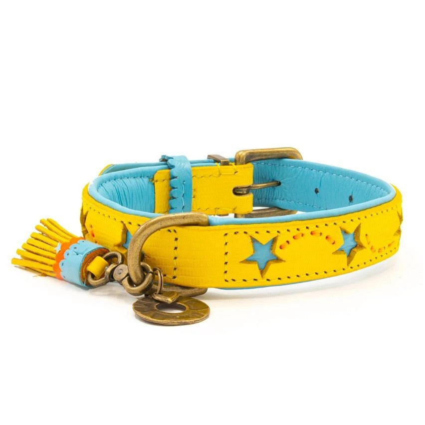 Dog With A Mission Halsband Blue Star - Image 5