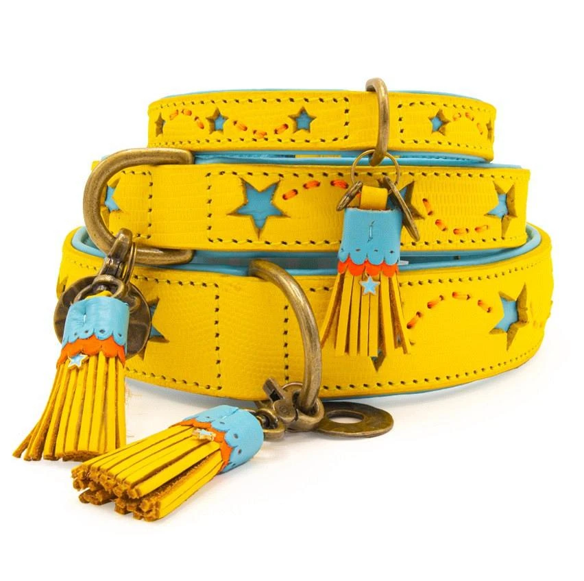 Dog With A Mission Halsband Blue Star