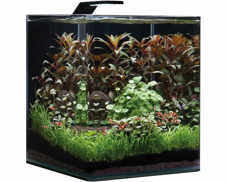 Dennerle NanoCube Basic 30 Ltr Style LED M